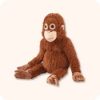 images test 2